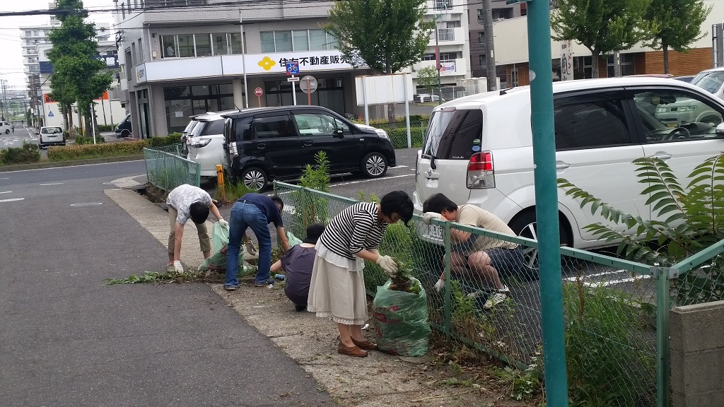 大変な量の雑草と格闘しました。