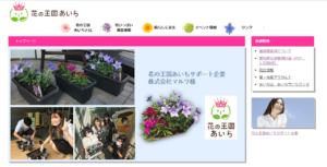秋の花植え