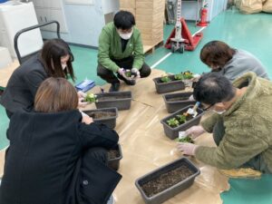 花植え10